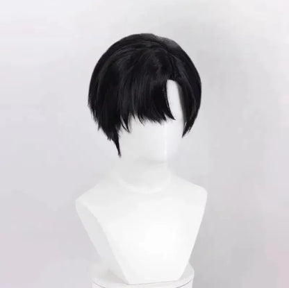 Black Wig Short