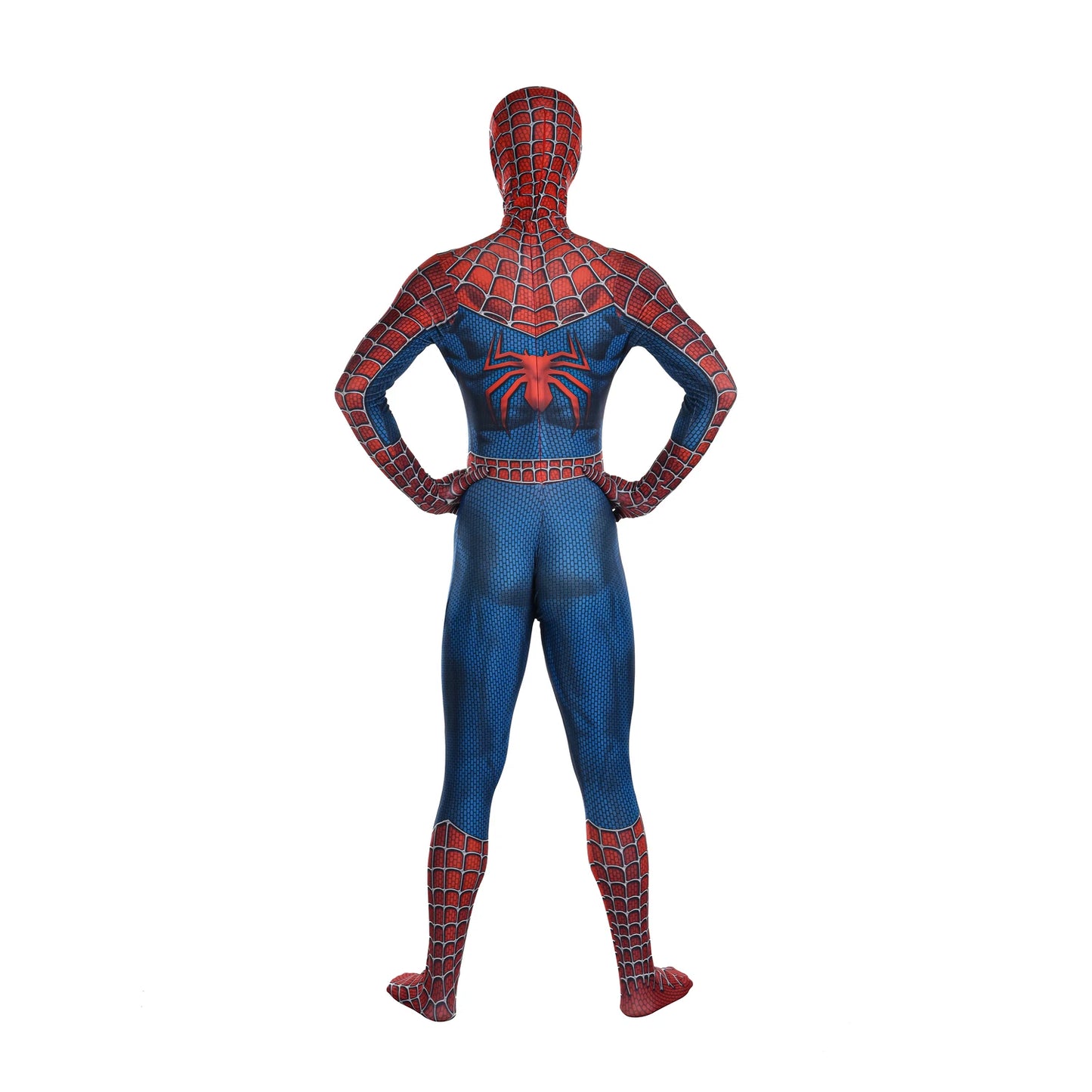 Web Hero Costume