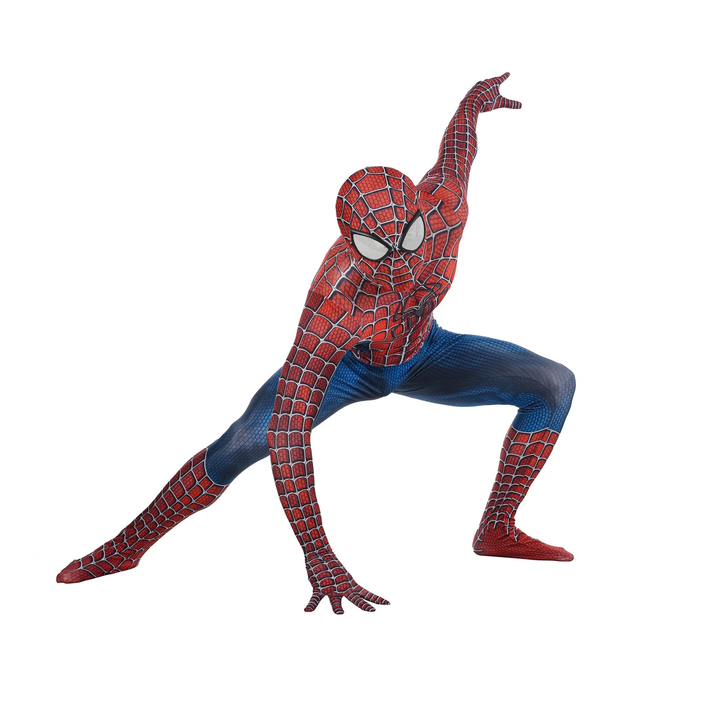 Web Hero Costume