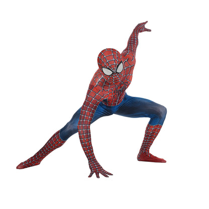 Web Hero Costume
