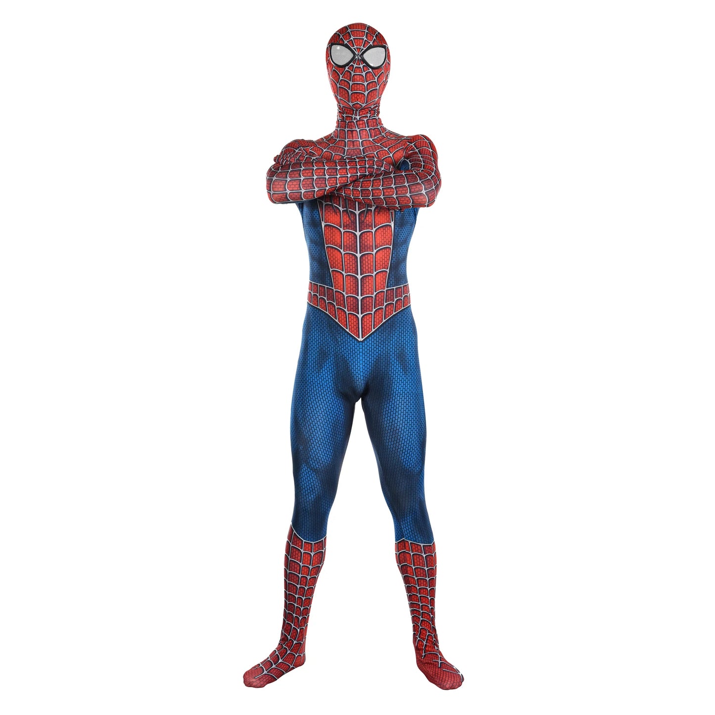 Web Hero Costume