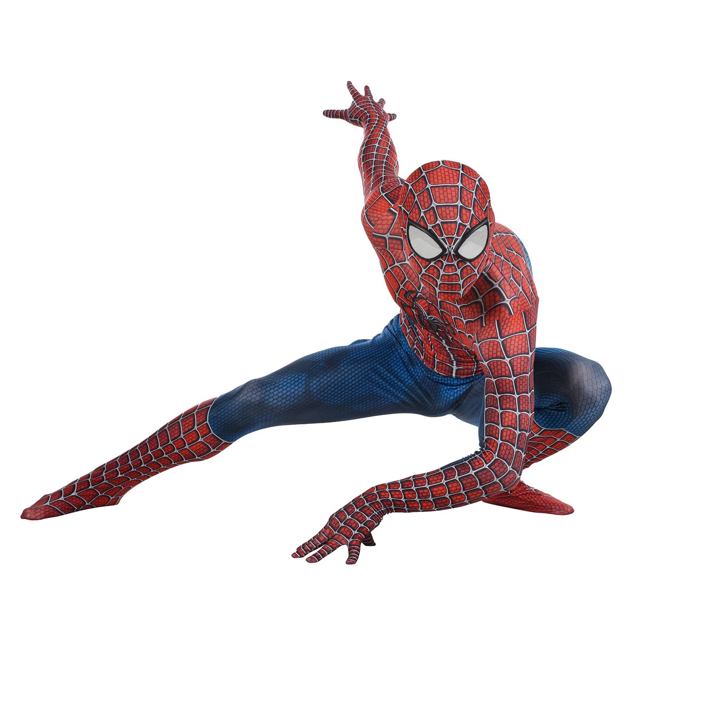 Web Hero Costume