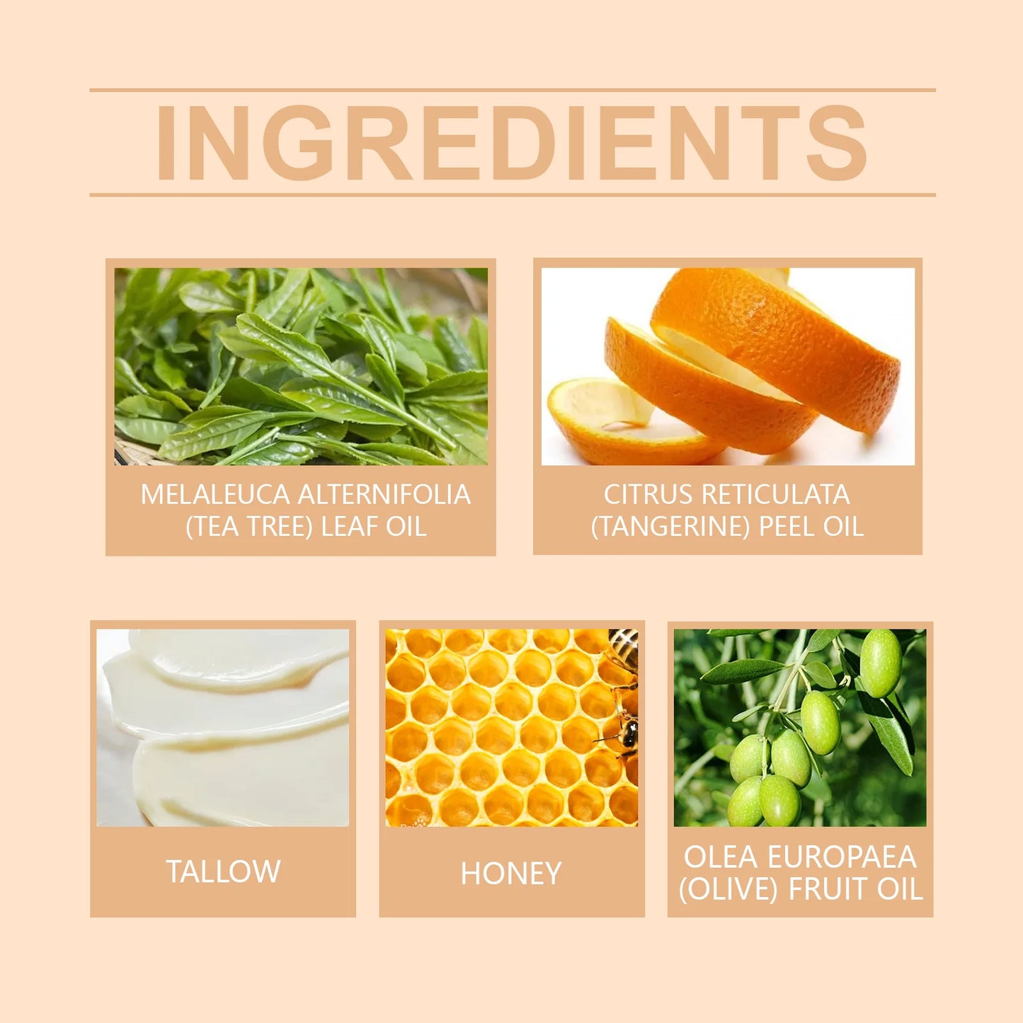 Tallow Honey Cream